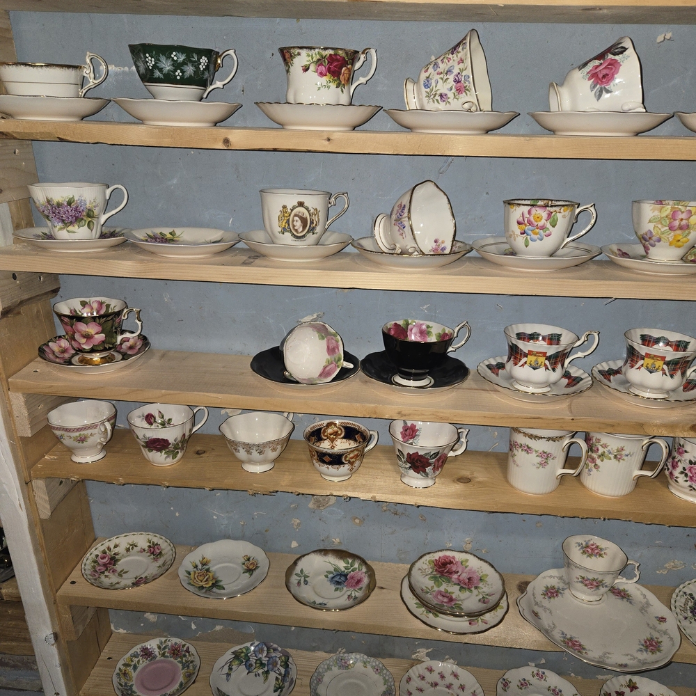 ALL ROYAL ALBERT Teacup and Saucer Set